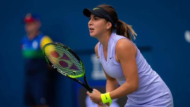 层面和观赏 层面和观赏