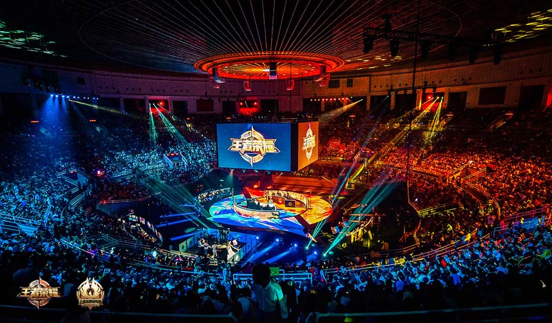 她们的心理 她们的心理